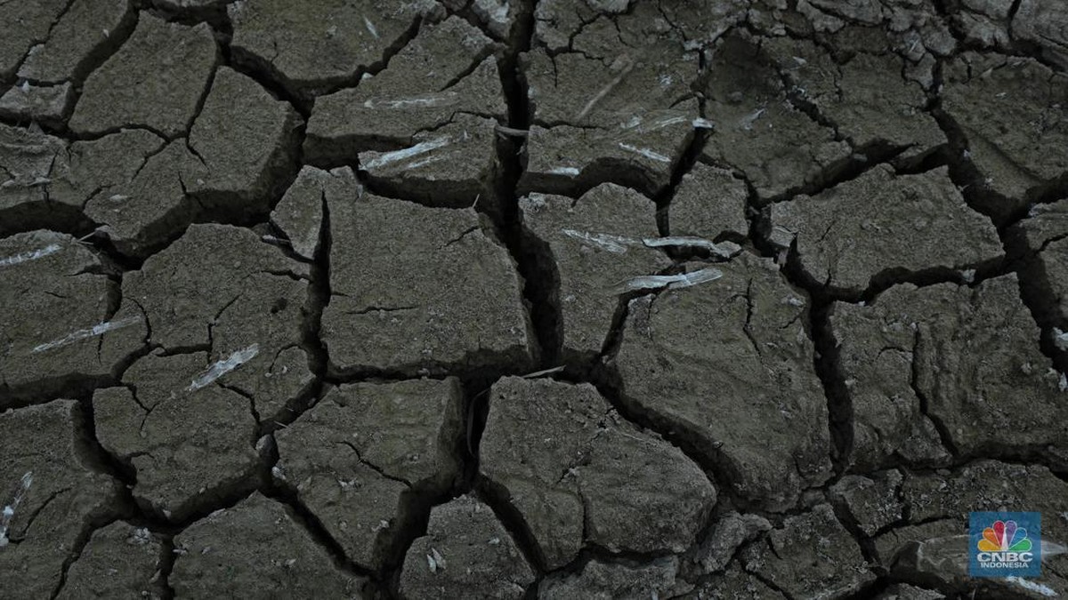 Heboh Fenomena Semburan Lumpur di Blora, Ini Penjelasan Badan Geologi
