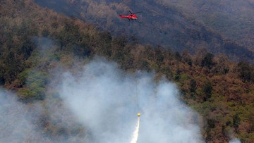 BPBD: Karhutla di Gunung Arjuno-Welirang Berhasil Dipadamkan
