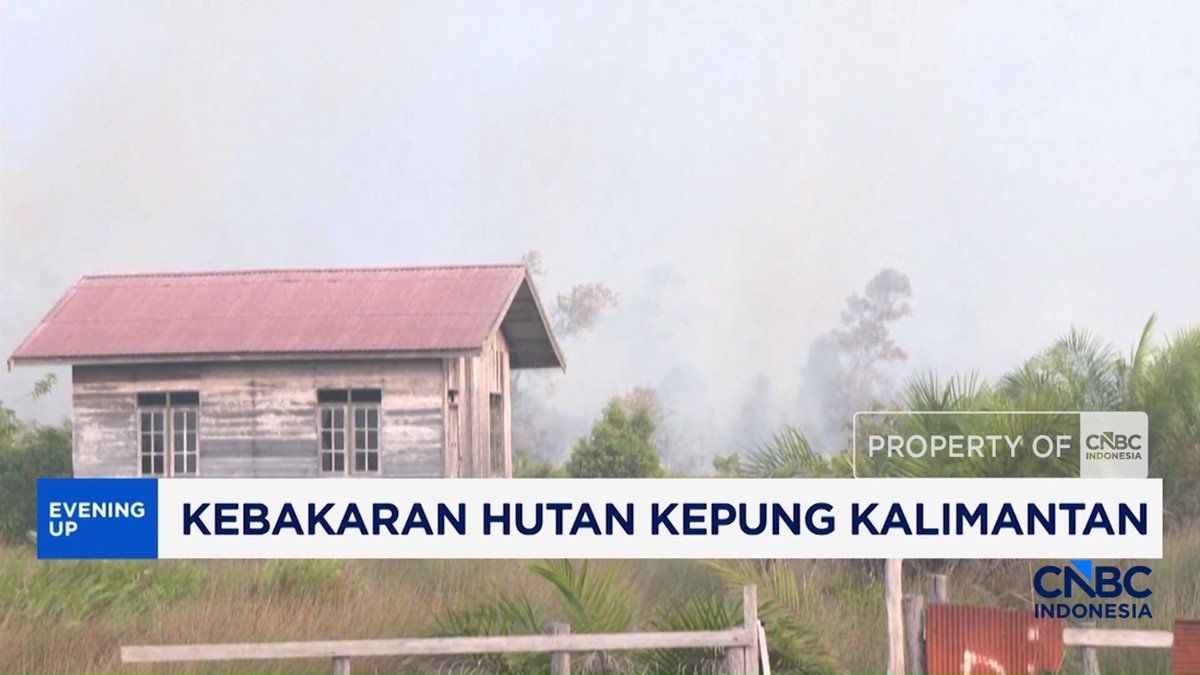 Video: Kebakaran Hutan Kepung Kalimantan