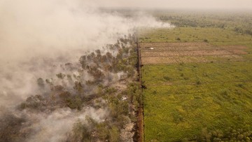 FOTO: Hutan Lindung Gambut Londerang Jambi Terbakar
