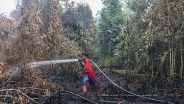 FOTO:  Semangat Pantang Menyerah Remaja ‘Superman’ Lawan Karhutla