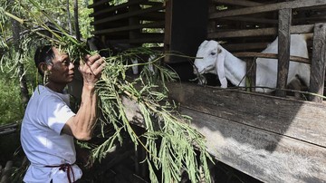 FOTO: Penantian Panjang Transmigran Kerinci Memperoleh Hak Lahan