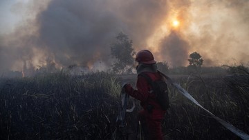 Kendala Pemadaman Karhutla Kalteng: Sumber Air Jauh, Selang Terbatas