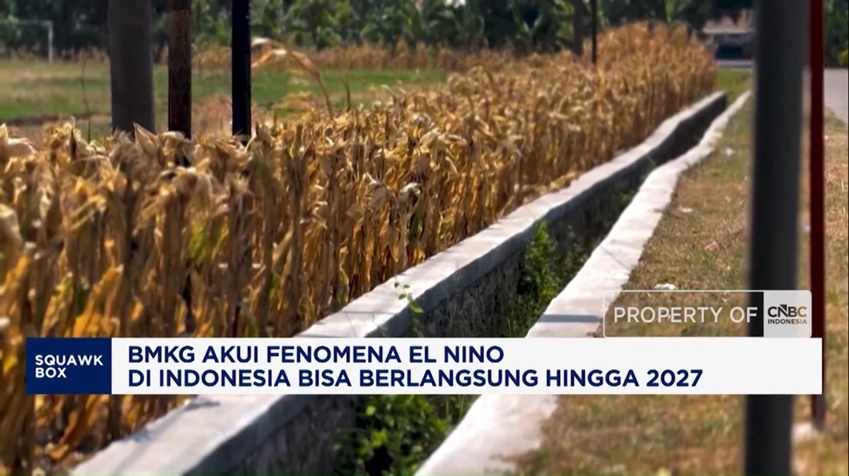 Video: BMKG: Fenomena El Nino di Indonesia Berlangsung hingga 2027