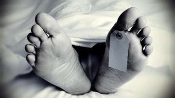 Tiga Penambang Emas Ilegal Tewas karena Longsor di Sungai Batang Gadis