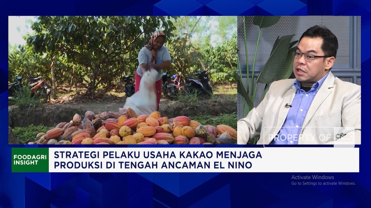 Video: Genjot Produksi Kakao, Petani Butuh Akses Pupuk – Pembiayaan