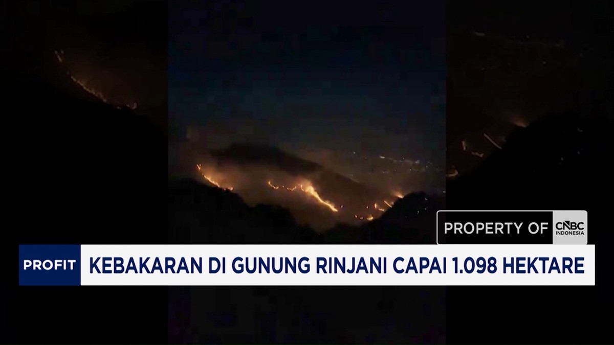 Video: Kebakaran di Gunung Rinjani Capai 1.098 Hektare