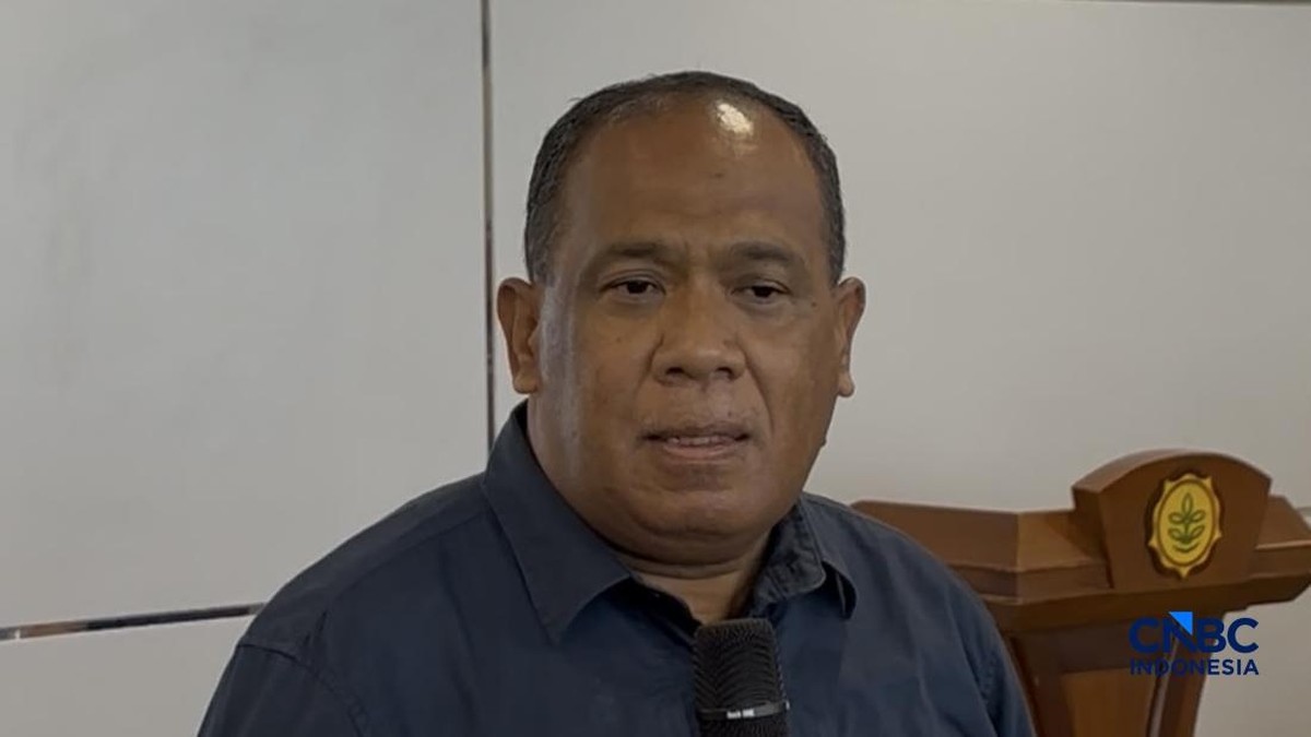 Ini Alasan 3 ASN Pertanian di Papua Tak Dikawal dan Ditembak KKB