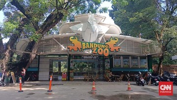 Bandung Zoo Siapkan Tirai hingga Isolasi Satwa Imbas Abu Vulkanik