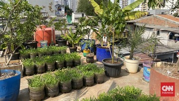 Urban Farming, Sebuah Inspirasi Kaum Tani Kota di Metropolitan Jakarta