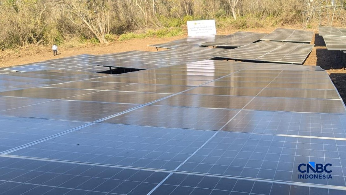 Sederet Hambatan RI Kejar Target PLTS 100 GW