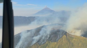 Karhutla Landa 25 Daerah Jatim Selama Kemarau, 9 Ribu Hektare Hangus