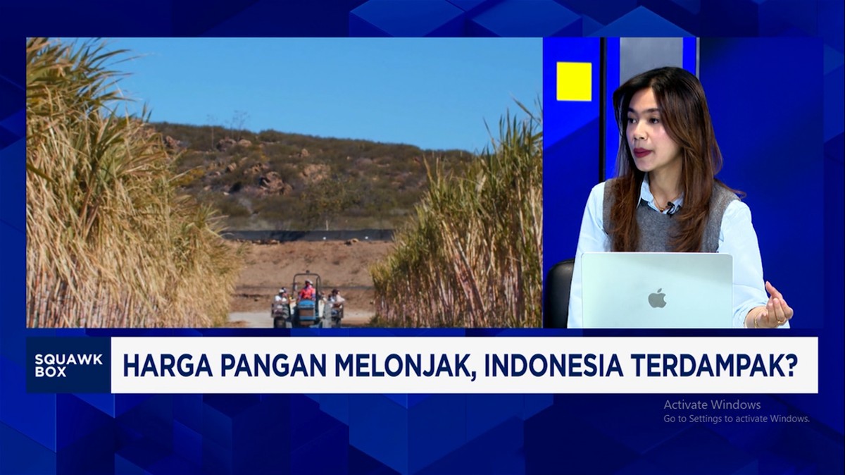 Video: Harga Gandum – Gula Dunia Melonjak, Indonesia Wajib Waspada?