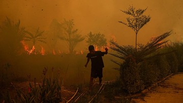 Update Karhutla: Hotspot Kalteng, Kalbar, Kalsel, Sumsel Meningkat
